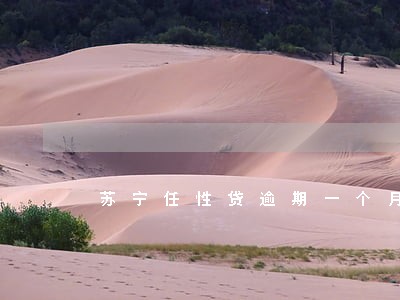 苏宁任性贷逾期一个月解除分期 苏宁任性贷逾期一个月解除分期