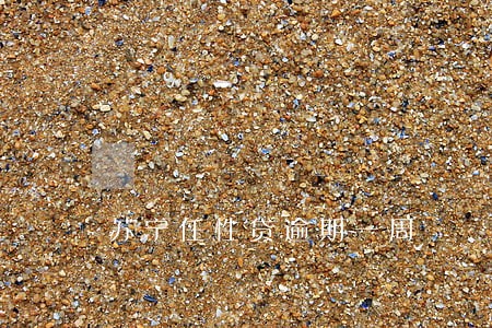 苏宁任性贷逾期一周