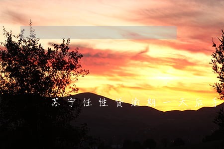 苏宁任性贷逾期一天后手动还款 苏宁任性贷逾期一天后手动还款