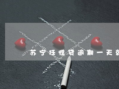 苏宁任性贷逾期一天就打电话 苏宁任性贷逾期一天就打电话