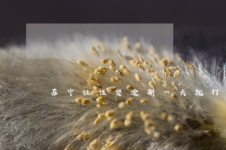苏宁任性贷逾期一天就打电话催 苏宁任性贷逾期一天就打电话催