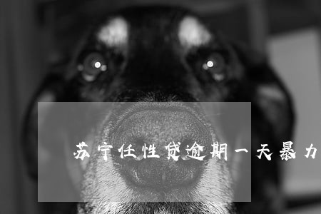 苏宁任性贷逾期一天暴力催收