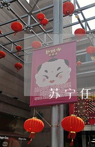 苏宁任性贷逾期一天行吗