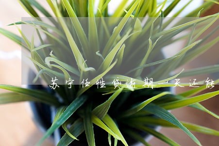 苏宁任性贷逾期一天还能再借款吗 苏宁任性贷逾期一天还能再借款吗