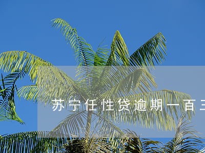 苏宁任性贷逾期一百三十天 苏宁任性贷逾期一百三十天