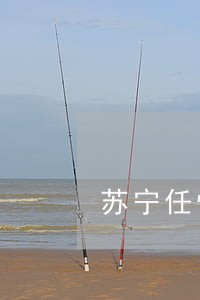 苏宁任性贷逾期三天