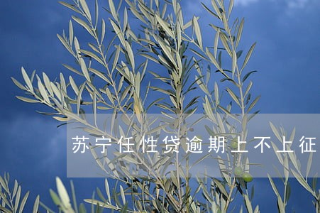 苏宁任性贷逾期上不上征信 苏宁任性贷逾期上不上征信