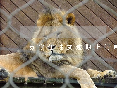苏宁任性贷逾期上门吗 苏宁任性贷逾期上门吗