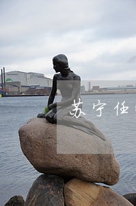 苏宁任性贷逾期不还 苏宁任性贷逾期不还
