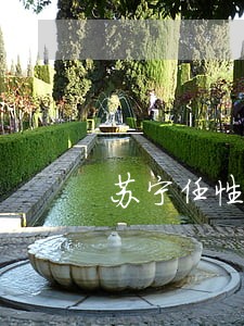 苏宁任性贷逾期两天冻结额度