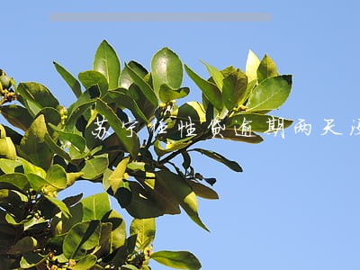 苏宁任性贷逾期两天没事吧 苏宁任性贷逾期两天没事吧