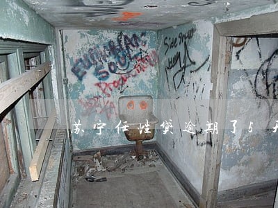 苏宁任性贷逾期了5天怎么办 苏宁任性贷逾期了5天怎么办