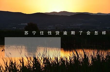 苏宁任性贷逾期了会怎样 苏宁任性贷逾期了会怎样