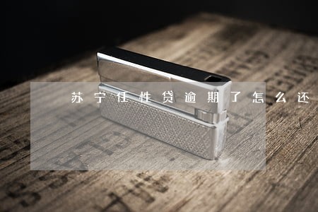 苏宁任性贷逾期了怎么还款