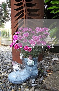 苏宁任性贷逾期二天让全部结清 苏宁任性贷逾期二天让全部结清