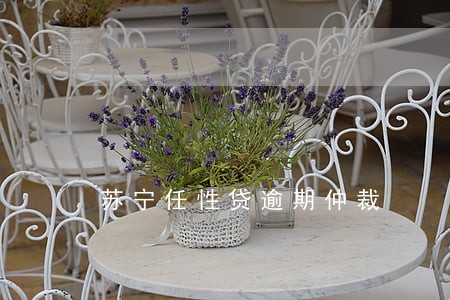 苏宁任性贷逾期仲裁 苏宁任性贷逾期仲裁