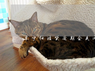 苏宁任性贷逾期会关闭还款通道吗 苏宁任性贷逾期会关闭还款通道吗