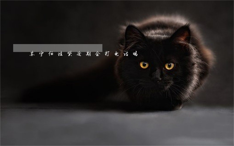苏宁任性贷逾期会打电话吗 苏宁任性贷逾期会打电话吗