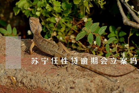 苏宁任性贷逾期会立案吗 苏宁任性贷逾期会立案吗