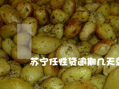 苏宁任性贷逾期几天就爆通讯录 苏宁任性贷逾期几天就爆通讯录