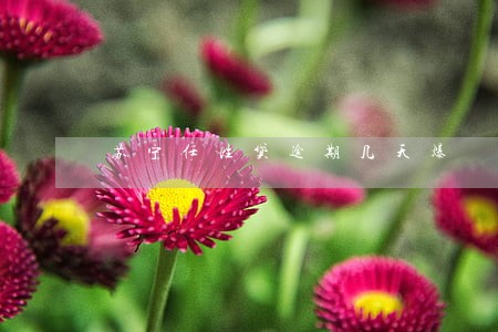 苏宁任性贷逾期几天爆 苏宁任性贷逾期几天爆