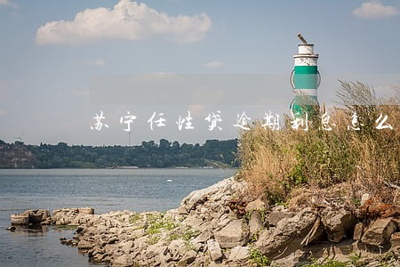 苏宁任性贷逾期利息怎么计算 苏宁任性贷逾期利息怎么计算