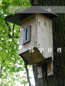 苏宁任性贷逾期利息高吗 苏宁任性贷逾期利息高吗