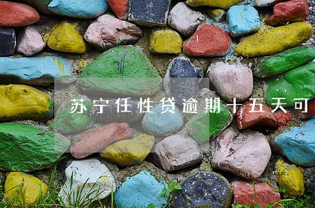 苏宁任性贷逾期十五天可以吗 苏宁任性贷逾期十五天可以吗