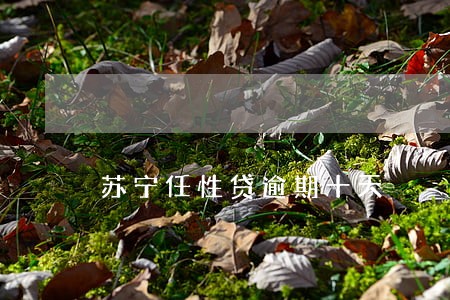 苏宁任性贷逾期十天 苏宁任性贷逾期十天