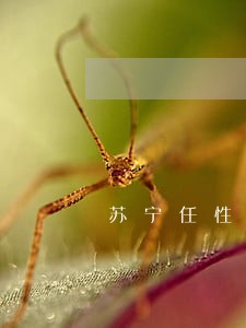 苏宁任性贷逾期半年还一块钱 苏宁任性贷逾期半年还一块钱