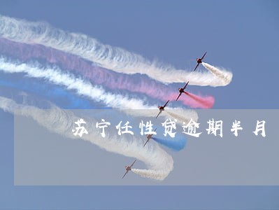 苏宁任性贷逾期半月
