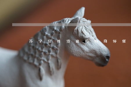 苏宁任性贷逾期协商停催