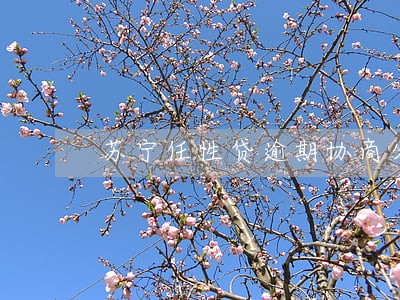 苏宁任性贷逾期协商分期 苏宁任性贷逾期协商分期