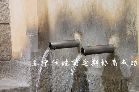 苏宁任性贷逾期协商成功 苏宁任性贷逾期协商成功