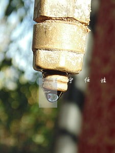 苏宁任性贷逾期后冻结了 苏宁任性贷逾期后冻结了