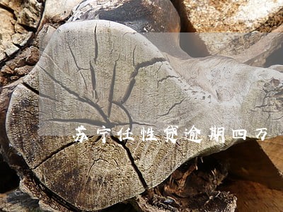 苏宁任性贷逾期四万 苏宁任性贷逾期四万