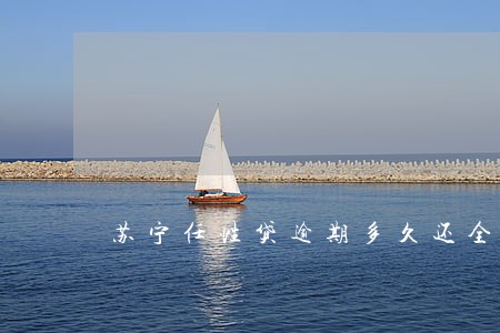 苏宁任性贷逾期多久还全款 苏宁任性贷逾期多久还全款