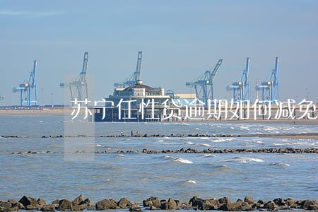 苏宁任性贷逾期如何减免 苏宁任性贷逾期如何减免