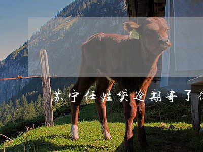 苏宁任性贷逾期寄了律师函