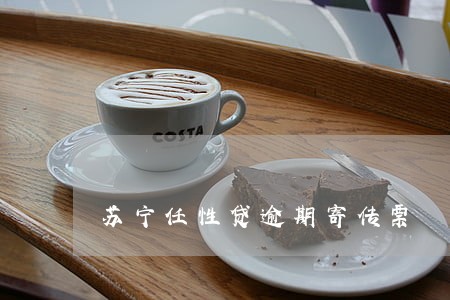 苏宁任性贷逾期寄传票