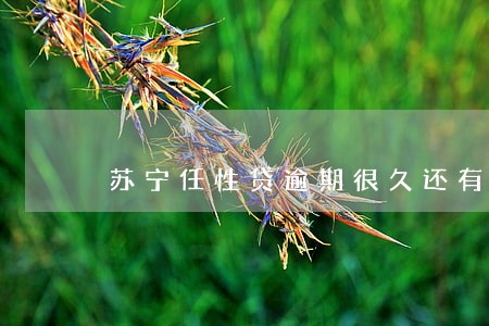 苏宁任性贷逾期很久还有可能用吗 苏宁任性贷逾期很久还有可能用吗