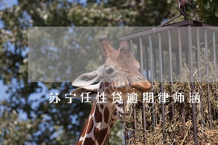苏宁任性贷逾期律师涵