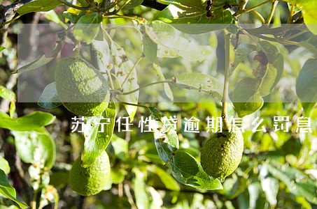 苏宁任性贷逾期怎么罚息 苏宁任性贷逾期怎么罚息