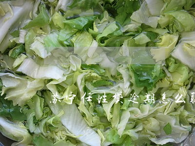 苏宁任性贷逾期怎么联系客服 苏宁任性贷逾期怎么联系客服