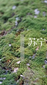 苏宁任性贷逾期收到短信 苏宁任性贷逾期收到短信
