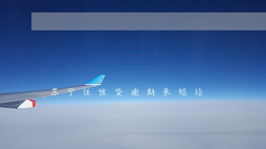 苏宁任性贷逾期来短信 苏宁任性贷逾期来短信