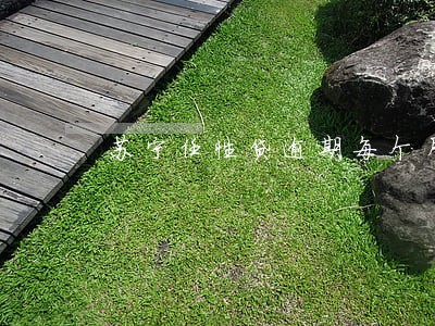 苏宁任性贷逾期每个月催几次 苏宁任性贷逾期每个月催几次