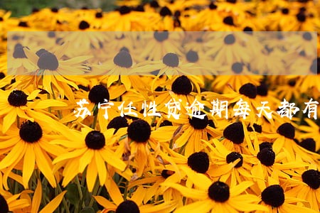 苏宁任性贷逾期每天都有罚息吗 苏宁任性贷逾期每天都有罚息吗