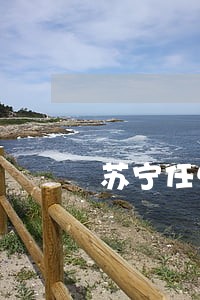苏宁任性贷逾期申请审理