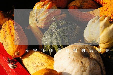 苏宁任性贷逾期的后果是什么 苏宁任性贷逾期的后果是什么